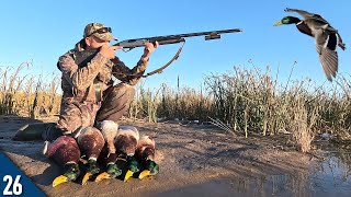 COLD FRONT Brought the MALLARDS Limited Out  28 Gauge Duck Hunting [upl. by Aneala]