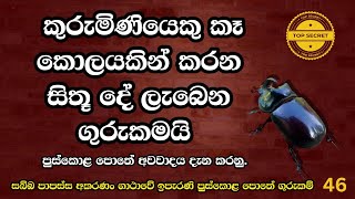 සබ්බ පාපස්ස ගාථාවේ ගුරුකම් අංක 46  sabba papassa gathnawe gueukam no 46 budda manthra [upl. by Carolyne]