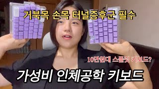 REVIEW 알리 스프릿 키보드 리뷰  인체공학 키보드  알리익스프레스  거북목  손목터널증후군 [upl. by Eirrahs]