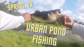 Urban Pond Fishing  Spring TX [upl. by Adiuqram]