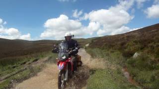 honda crf 250 rally clips [upl. by Chew758]