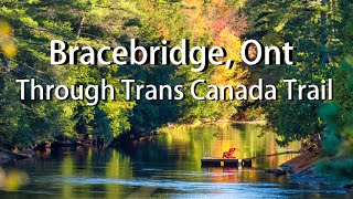 Bracebridge in Autumn Explore Amazing Waterfalls and Downtown Through Trans Canada Trail [upl. by Obel691]