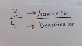 Fractions with Numerator and Denominator [upl. by Lunnete748]