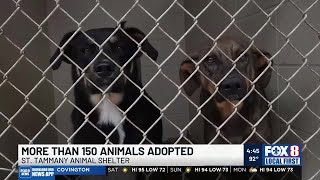 Emergency plan concludes at St Tammany Animal Shelter without euthanizing animals due to overcro [upl. by Allain683]