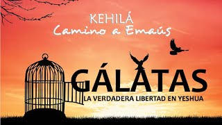 GÁLATAS 115  ¿Quienes eran realmente los gálatas  KEHILÁ [upl. by Seidnac]