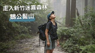 新竹縣鵝公髻山、台灣小百岳！帶爸媽爬山⛰️森遊竹縣👣 [upl. by Tnecnev360]