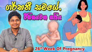 Pregnancy 26th Week  Sinhala Medical Review  අම්මයි බබයි [upl. by Leede]