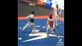 Best Old School TKD Part 2 [upl. by Naiva637]