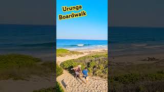 1km long Boardwalk in australia Urunga coastal adventure explore [upl. by Ylim]