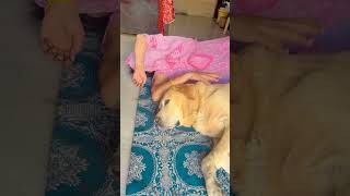 😎 Jambo 😎shorts merimaisong song maa jambo subscribe dogloverlove animals viralshorts [upl. by Neelcaj]