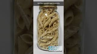 100 Rice weevils cause damage to pasta over 6 months [upl. by Brookhouse570]