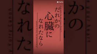 太宰治ウィーク 文豪ストレイドッグス 太宰治 文スト太宰治 歌詞動画 文スト [upl. by Ahsila745]