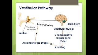 Anticholinergic DrugsPart 1ParasympatholyticsAtropineDrugs acting on ANSPharmacology [upl. by Aihtekal]