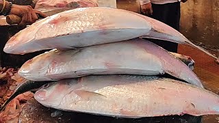 2 Kg Big HilsaIlish Fish Cutting In Bangladesh Fish Market  Fish Cutting Skills [upl. by Tsenre]