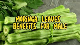 Unveiling Moringa Leaves Benefits for Mens Health [upl. by Nicolle]