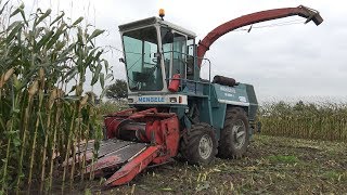 Mais hakselen met Mengele SF40002  Deutz D7506 Fendt Farmer 308 en IHC 844s 2017 [upl. by Alford]