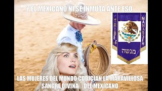 LAS 12 TRIBUS DE ISRAEL MEXICO POTENCIA MUNDIAL MANASES ISRAEL MEXICANOS MARAVILLOSOS Y CODICIADOS [upl. by Fitz]