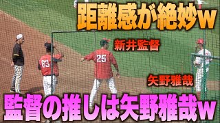 古巣阪神スタッフに矢野雅哉を推す新井貴浩監督w広島カープ阪神タイガースハイライトダイジェスト [upl. by Reahard]