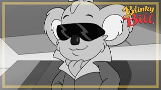 Welcome to Blinky Bill  The Wild Adventures of Blinky Bill  Intro [upl. by Soph564]