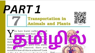 class 7 science chapter 7 in tamil  transportation in animals and plants in tamilkvsncertcbse [upl. by Joy]