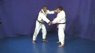 Ronaldo Jacare Souza DVD jiu jitsu concept 4 [upl. by Anekahs]