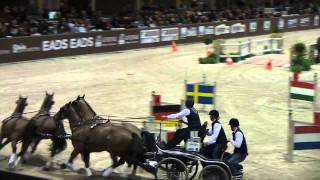 BORDEAUX 2012  World Cup  Boyd EXELL  Winning round [upl. by Shewchuk]