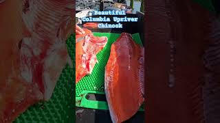 Columbia River Chinook Salmon Getting Filleted fishing bigsalmon [upl. by Sherar]