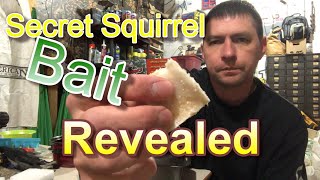 Amazing Squirrel Bait You Have NEVER seen this [upl. by Starla940]