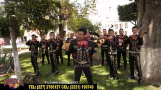 MARIACHI PEDREGAL PELAO DE RANCHO 2015 [upl. by Lark]