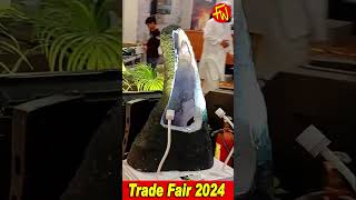 India international trade fair 2024 iitf shortvideo youtubeshorts shortvideo tradefair short [upl. by Ellehcit603]