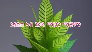 ኢየሱስ ኣብ እንዳ ማርታን ማርያምን [upl. by Stetson156]