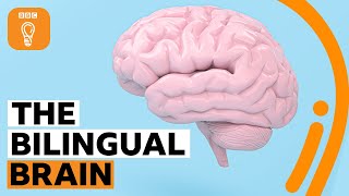 Why being bilingual is good for your brain  BBC Ideas [upl. by Otaner984]