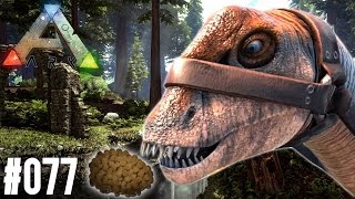 DIPLODOCUS TAMING DRAMA  ARK SURVIVAL EVOLVED [upl. by Gelb588]