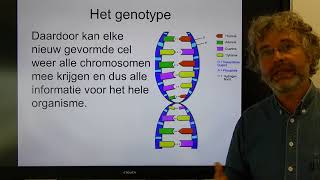 Biologie HV OB Chromosomen genen en genexpressie [upl. by Leopoldine340]