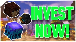 INVEST IN THESE PET SKINS NOW Hypixel Skyblock [upl. by Nesyrb284]