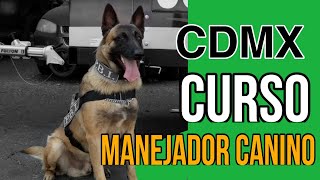 adiestramiento canino K9 Curso basico de manejador canino a elementos de la CDMX [upl. by Kleper21]