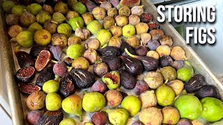 Storing Figs for Optimal Shelf Life Refrigerating Freezing amp Making Jam [upl. by Skelly]