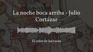 La noche boca arriba  Julio Cortázar [upl. by Kisor]