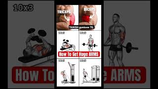 🏋️‍♂️🏋️‍♂️♥️Powerful Biceptricep all exercise tips💯😘💪 tanieh gymlover TG youtubeshorts [upl. by Harol]