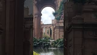 Palace of Fine Arts in San Francisco shorts [upl. by Attalie665]