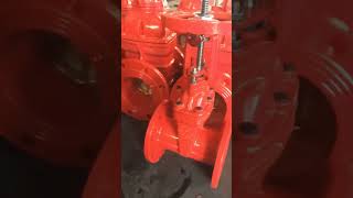 side lock rising stem resilient seat gate valves gatevalve gatevalves vavle [upl. by Oniger155]