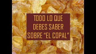 TODO LO QUE DEBES SABER DEL COPAL [upl. by Rew]