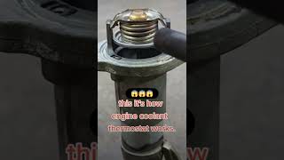 How to the thermostat valve working 😮😮 trendingshorts viralvideo [upl. by Yartnod]