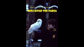 Harry Potter ve Felsefe Taşı  Tek Parça  En İyi Sesli Kitap [upl. by Wickman]