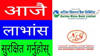 Garima bikas bank GBBL bonus share  NLG insurance NLG bonus share  GBBL  NLG  divided [upl. by Rebmaed595]