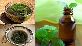 How To Make Peppermint  Mint Oil At Home  Homemade Fresh Peppermint Oil At Home [upl. by Ybab]