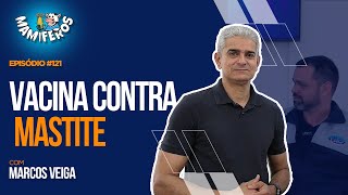 Vacina contra mastite vale a pena Quando vacinar o seu rebanho [upl. by Duj]