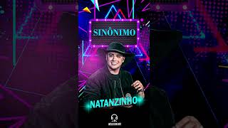 SINÔNIMO  NATANZINHO LIMA natanzinho natanzinholima sinônimos musica flyer sofrencia [upl. by Neit89]