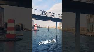 Copenaghen 2024 A Daily Moments [upl. by Niad]