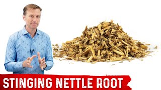 5 Benefits of Stinging Nettle Root [upl. by Barclay]